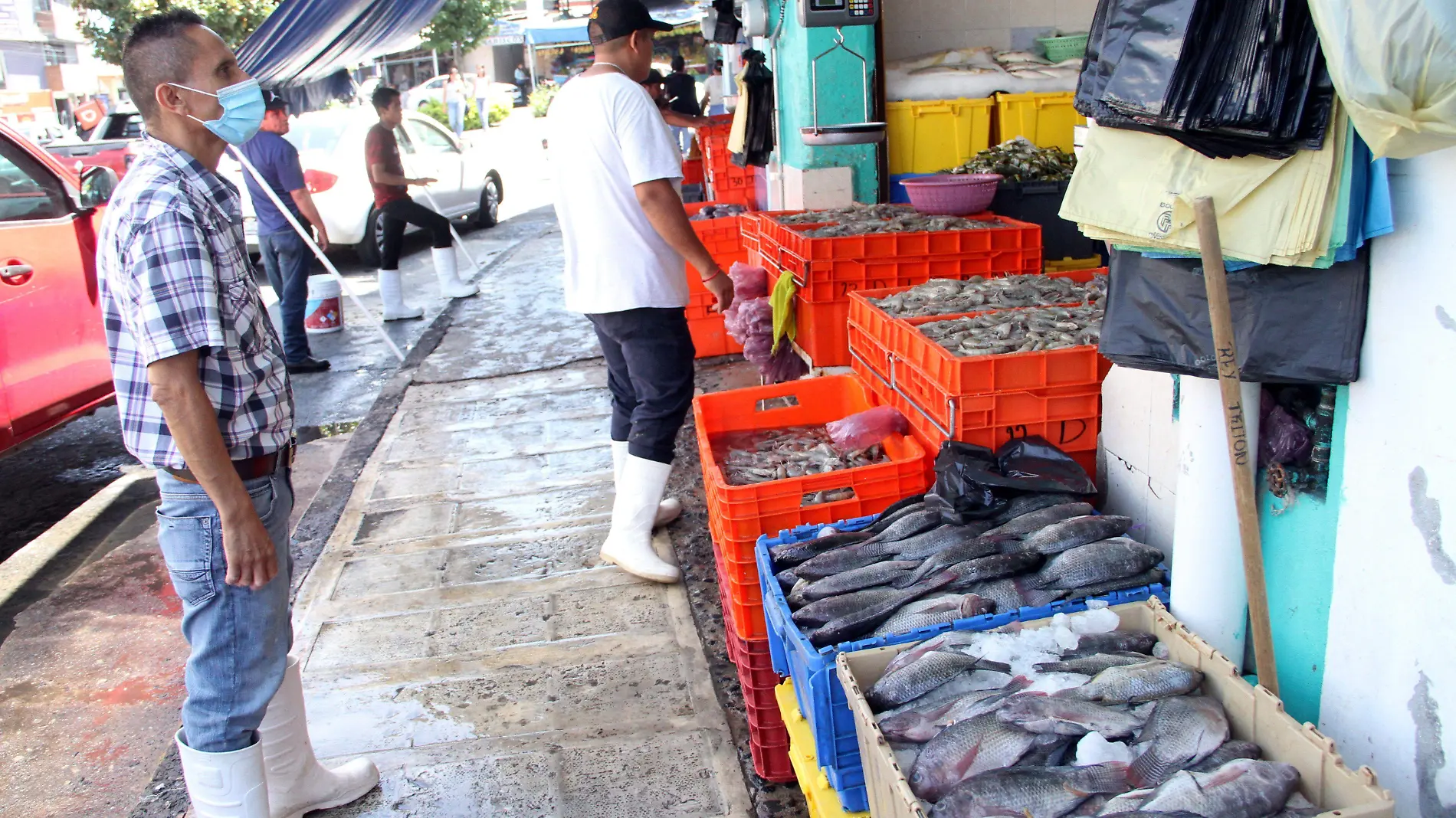 JE10082023724Venta de Pescados y Mariscos